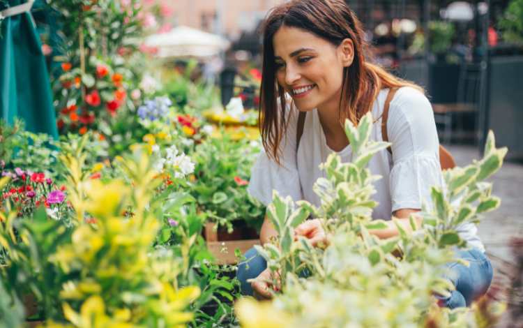 Therapeutic Power of Flowers