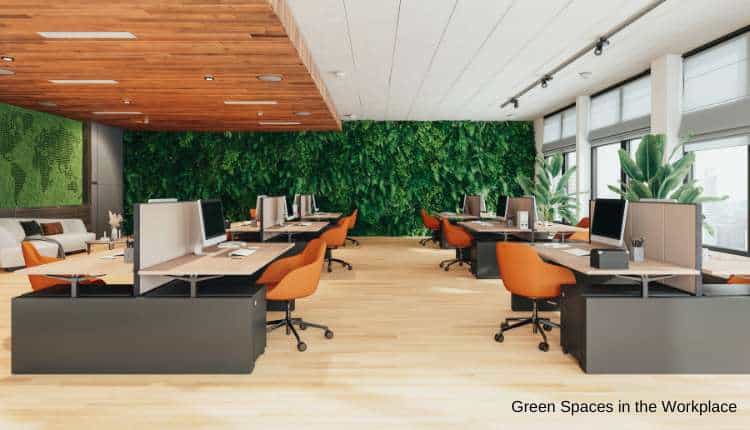 Green Spaces in the Workplace