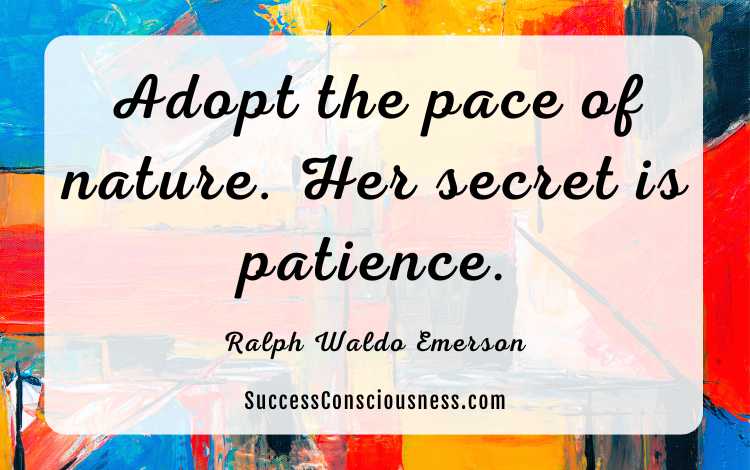 Quotes about Patience